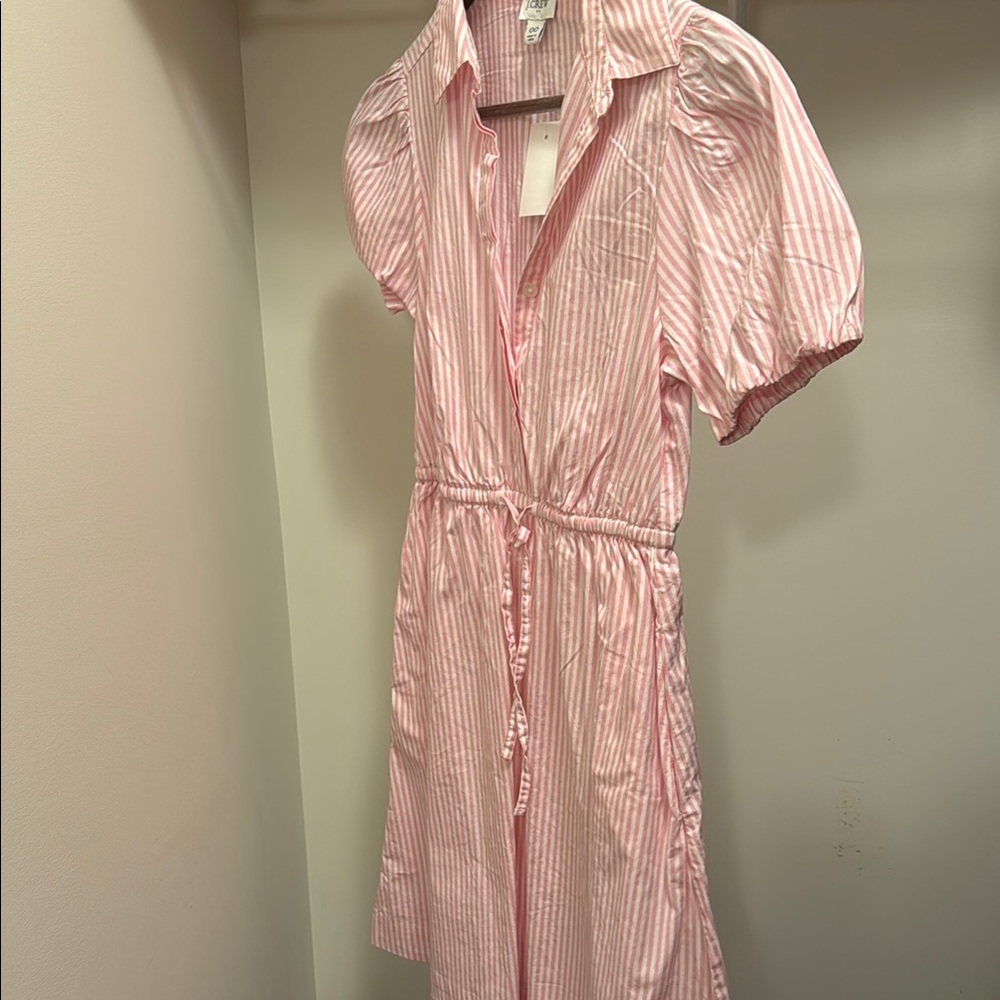 Pink Striped Women’s J. Crew Dress